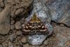 212503 – Photo : Johan Verstraeten – Espagne
